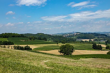 Monferrato Landscape